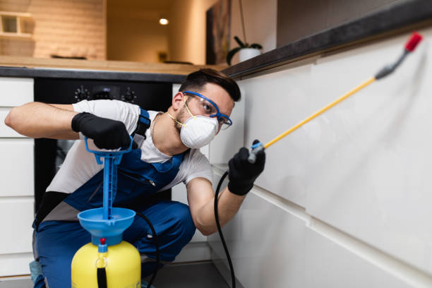 Best Pest Removal Services  in Chapman, KS