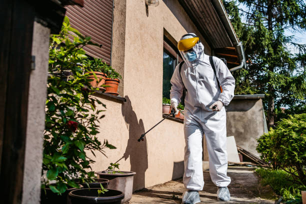 Best Bed Bug Extermination  in Chapman, KS