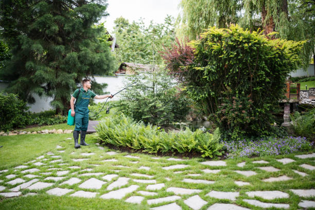 Pest Prevention Services in Chapman, KS
