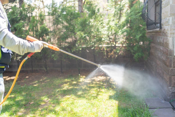 Best Ant Control Services  in Chapman, KS