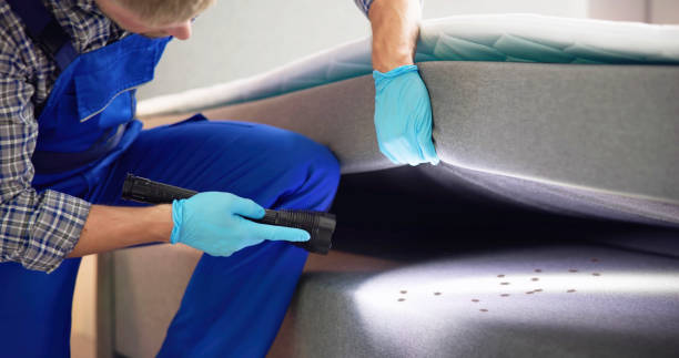 Best Mosquito Control Services  in Chapman, KS