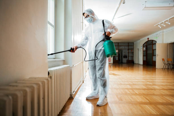 Best Emergency Pest Control  in Chapman, KS